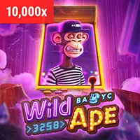 Người dùng quản lý cài đặt cookie trên trình duyệt web